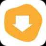 Download Manager